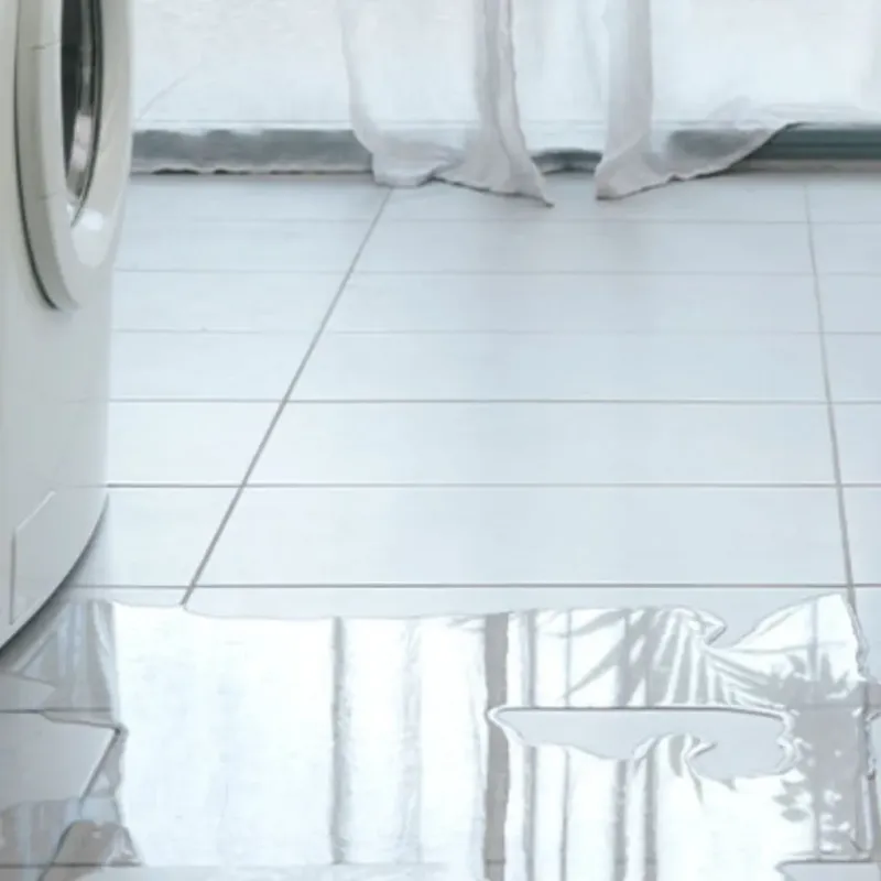 Appliance Leak Cleanup in Harlem, FL