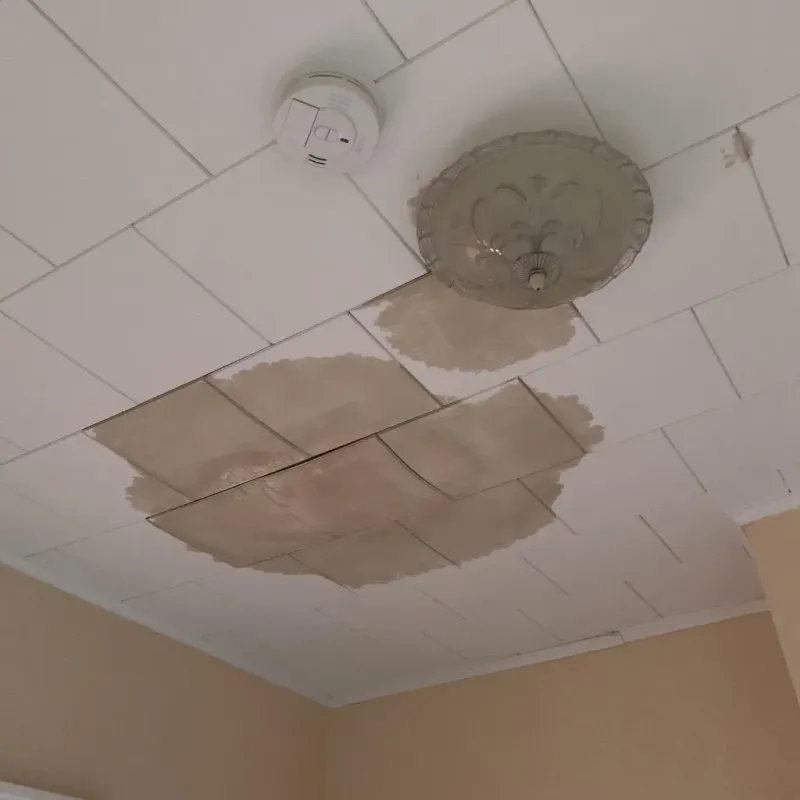 Ceiling Water Damage Repair in Harlem, FL