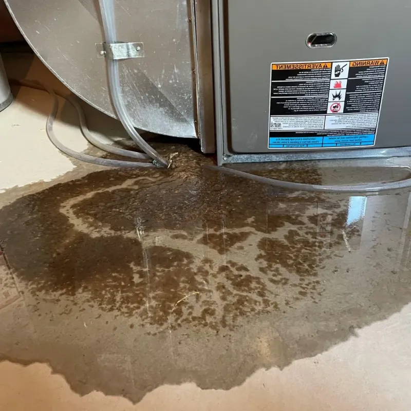 Pipe Burst and Leak Restoration in Harlem, FL