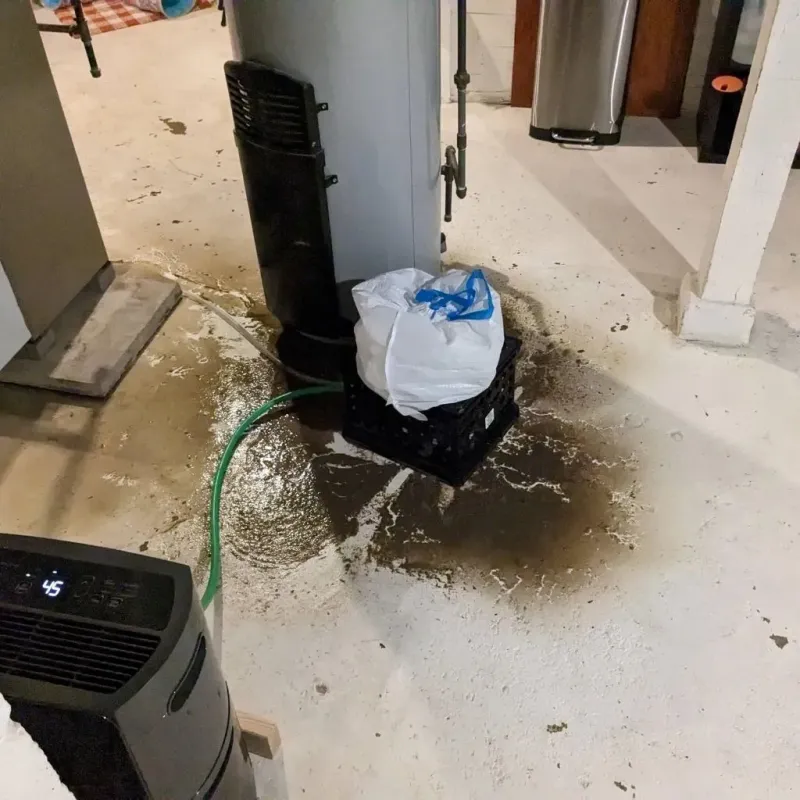 Sewage Backup Cleanup Service in Harlem, FL